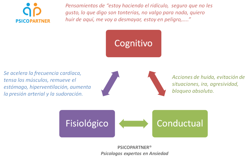 Fármacos para la ansiedad o terapia psicológica 2 psicologos expertos en terapia de ansiedad