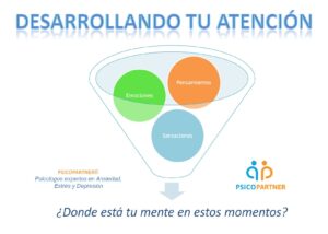 MINDFULNESS EN LA VIDA COTIDIANA 2 Imagen1 MINDFULNESS EN LA VIDA COTIDIANA