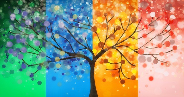 LuzySN3 Cómo la luz moldea tu sistema nervioso: claves para entender tu equilibrio interno 